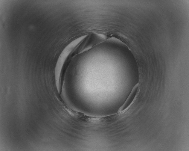X0000073910192200608251533