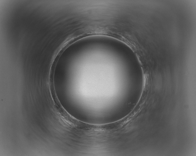 X0000073910195200608251532
