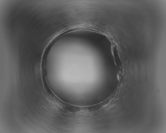 X0000073910196200608251532