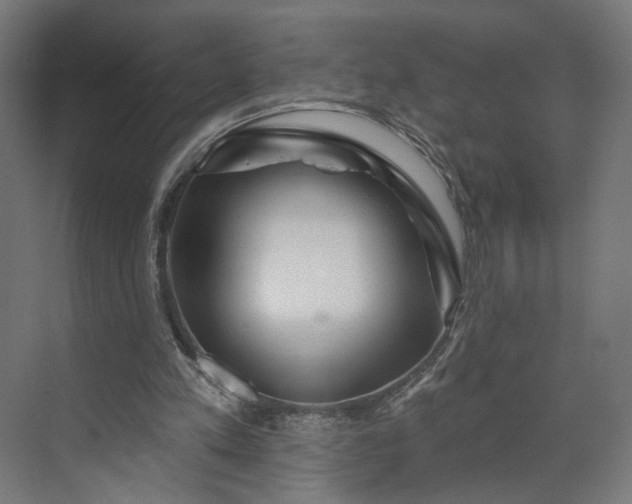 X0000073910197200608251532