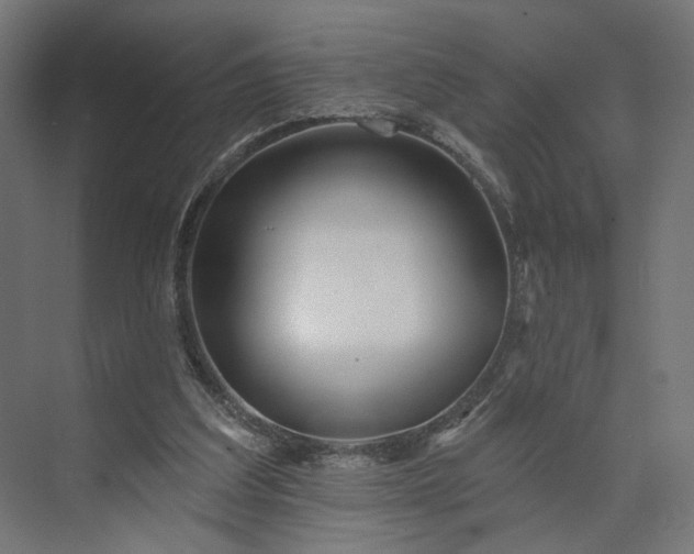 X0000073910203200608251532