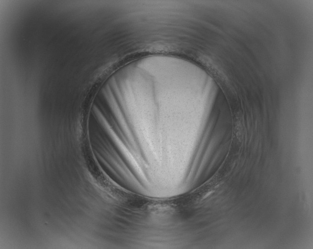 X0000073910208200608251532