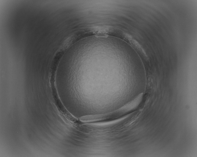 X0000073910209200608251532
