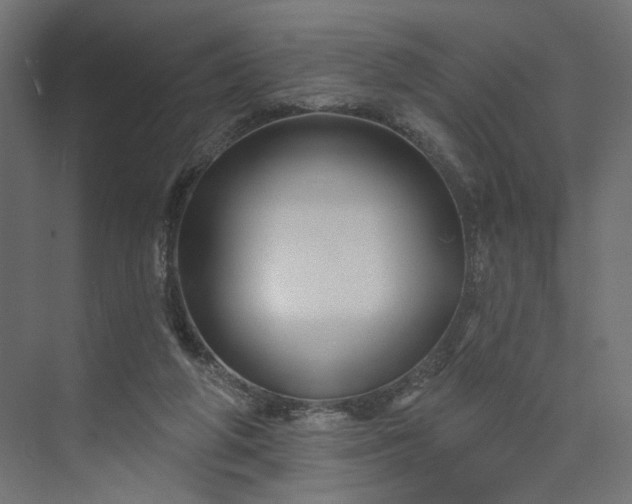 X0000073910210200608251532