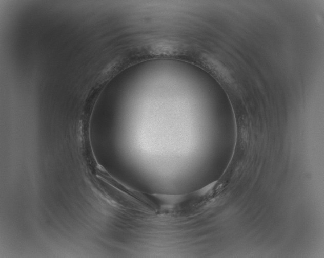 X0000073910211200608251532