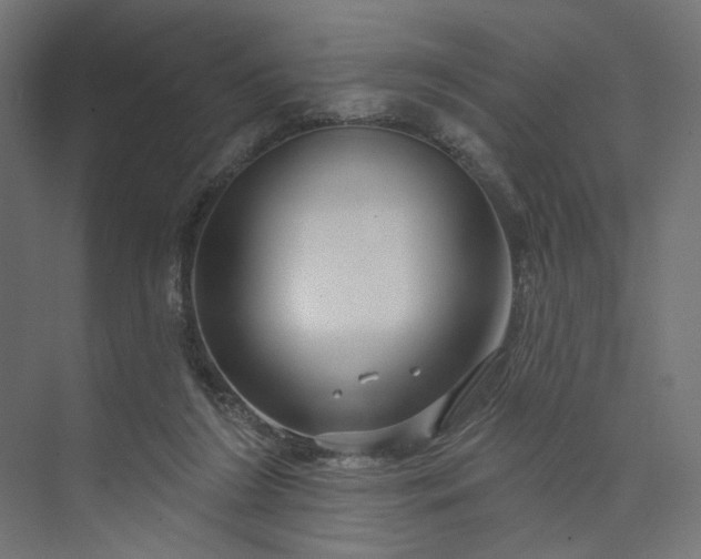 X0000073910212200608251532