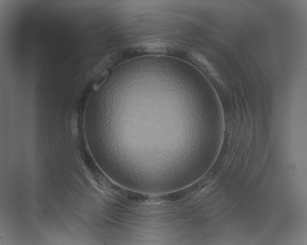 X0000073910213200608251532