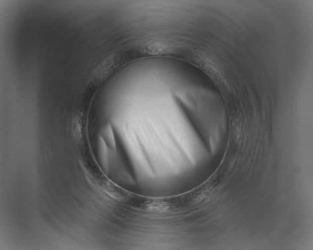 X0000073910214200608251532