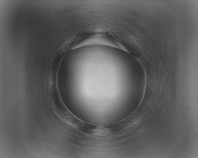 X0000073910215200608251532