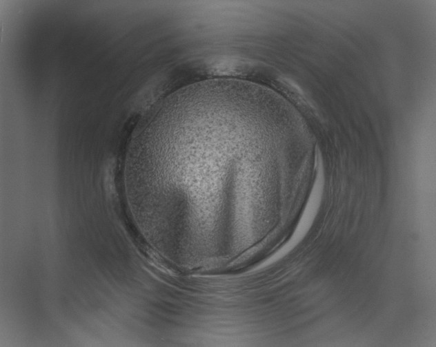 X0000073910217200608251532