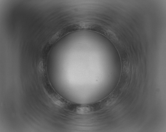 X0000073910220200608251532