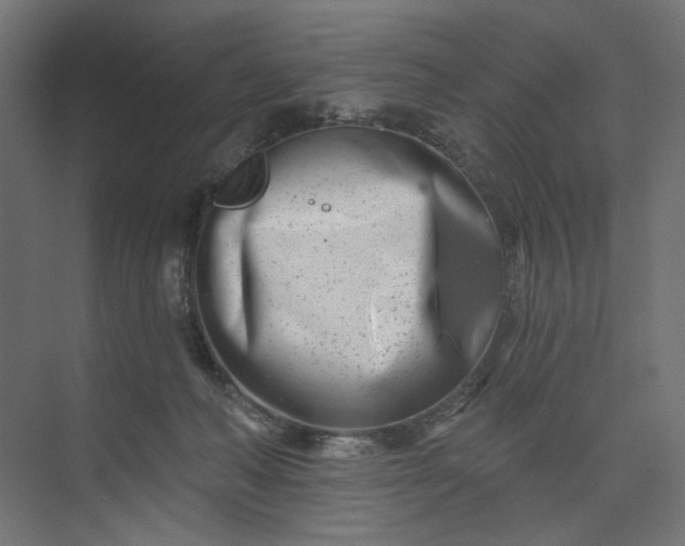X0000073910222200608251532