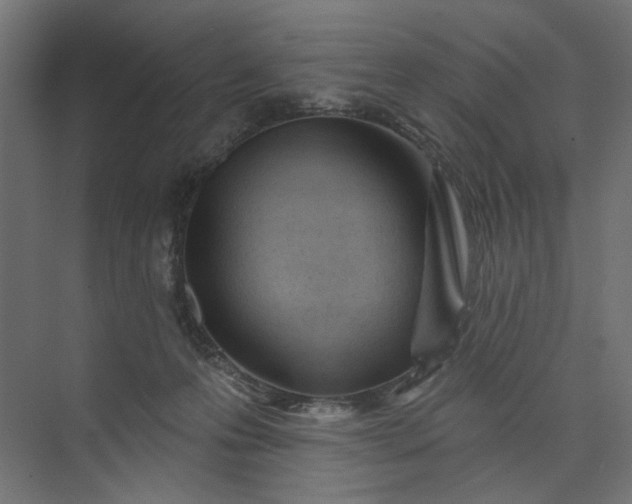 X0000073910223200608251532