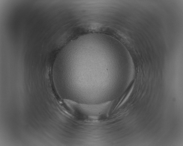 X0000073910225200608251532
