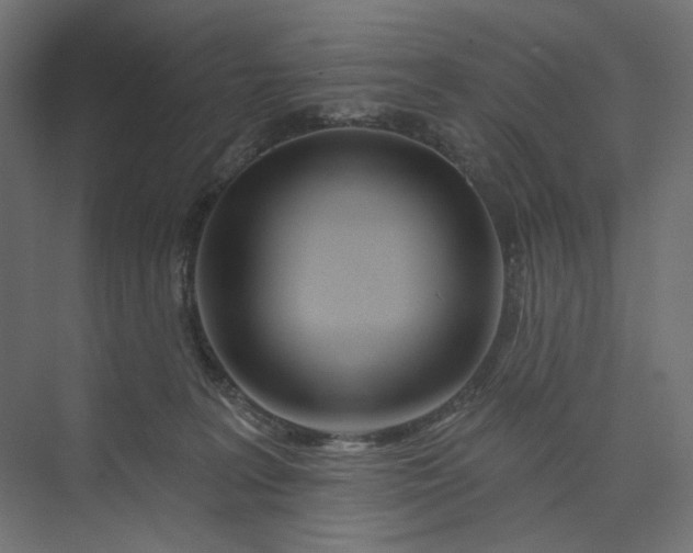 X0000073910227200608251532