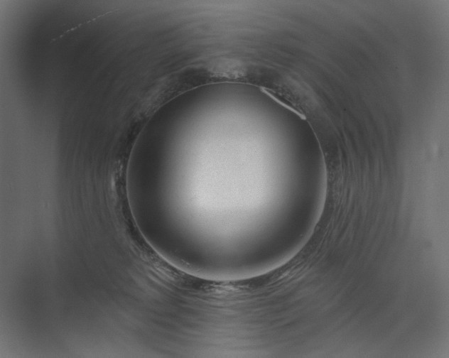 X0000073910229200608251532