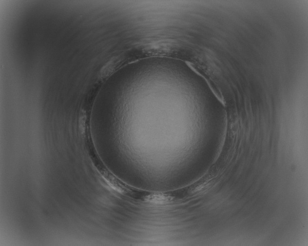 X0000073910231200608251531