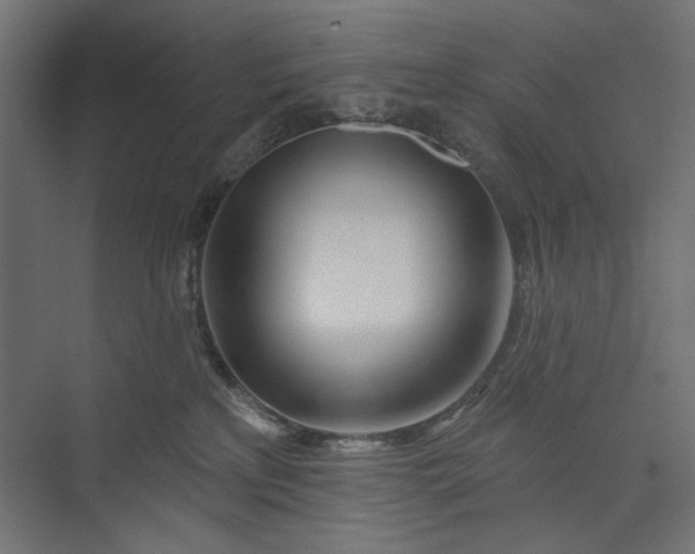 X0000073910233200608251531