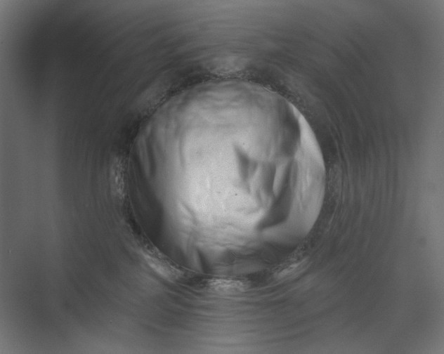 X0000073910234200608251531