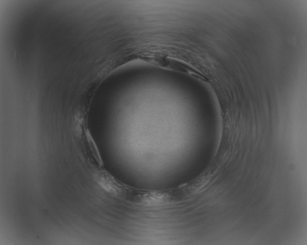 X0000073910235200608251531