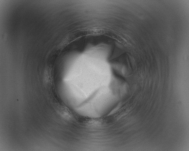 X0000073910236200608251531