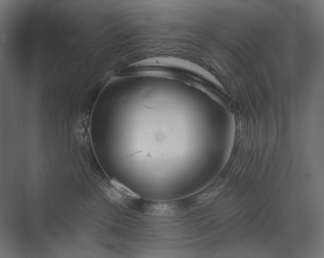 X0000073910237200608251531