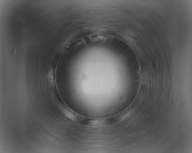 X0000073910238200608251531