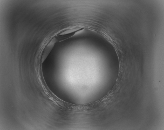 X0000073910241200608251531