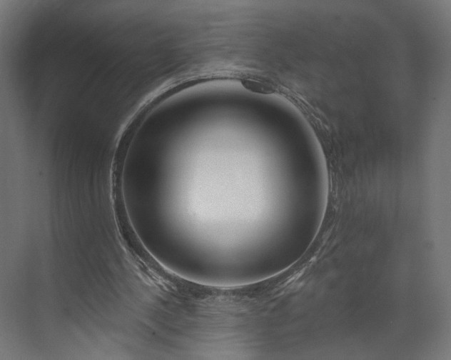 X0000073910244200608251531