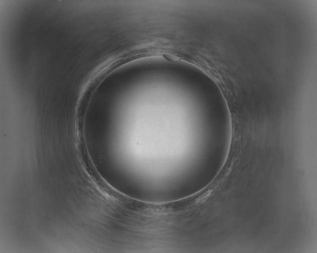 X0000073910245200608251531