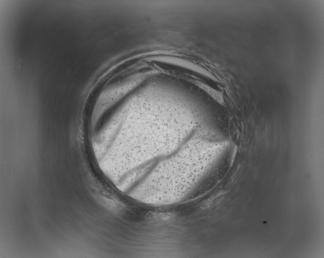 X0000073910247200608251531