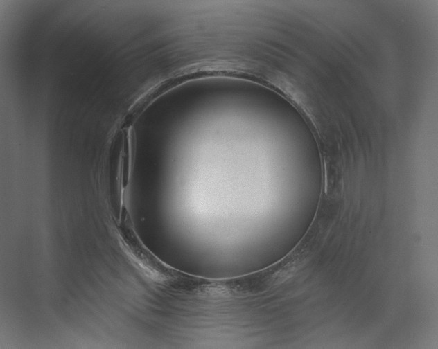 X0000073910253200608251531
