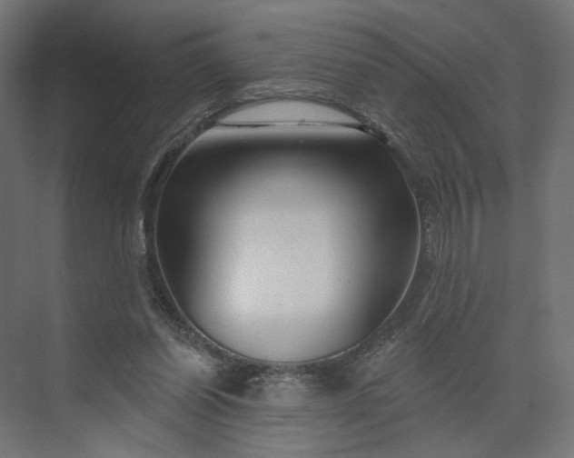 X0000073910254200608251531