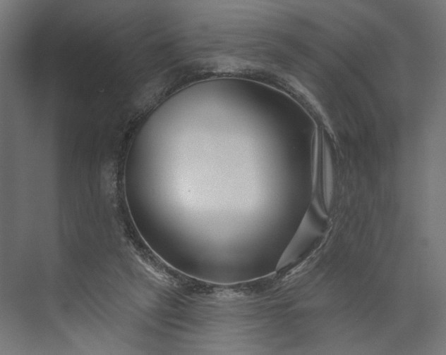 X0000073910257200608251531