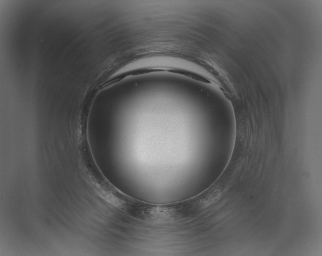 X0000073910261200608251531