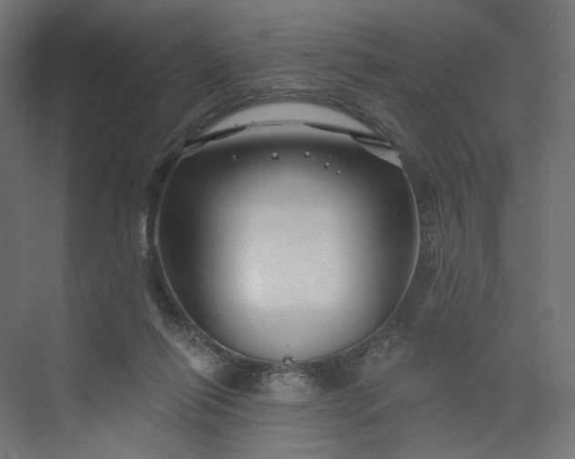 X0000073910262200608251531