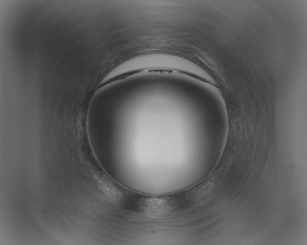 X0000073910265200608251531