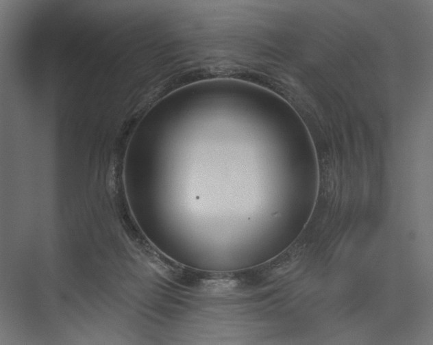X0000073910266200608251531