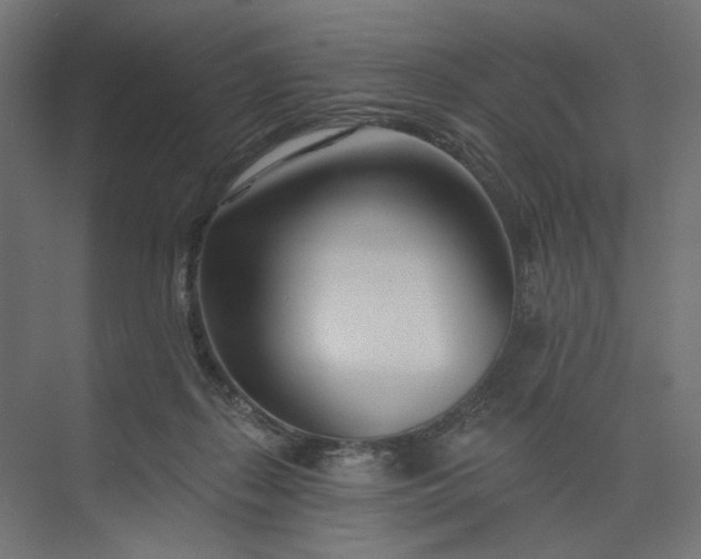 X0000073910267200608251531