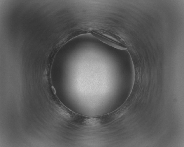 X0000073910269200608251531
