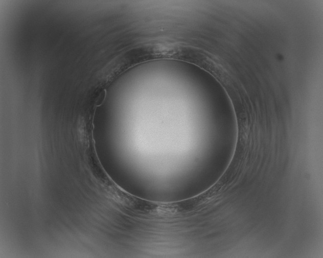 X0000073910270200608251531