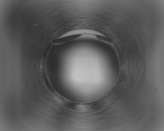 X0000073910277200608251531