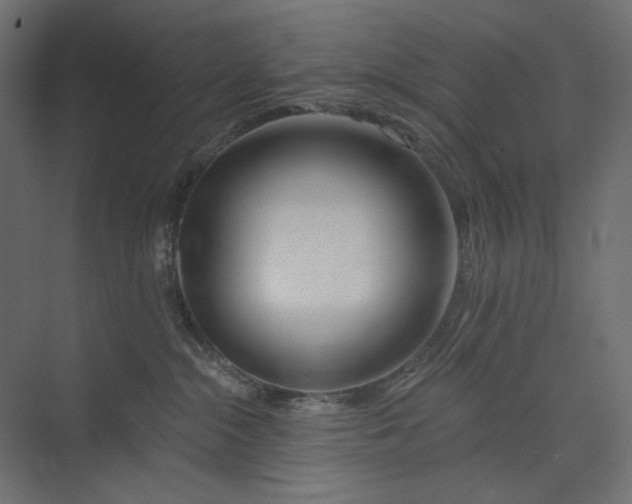 X0000073910284200608251531