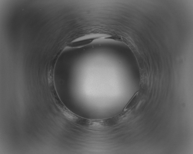 X0000073910285200608251531