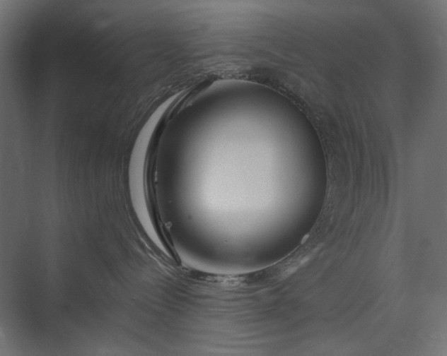 X0000073910288200608251531