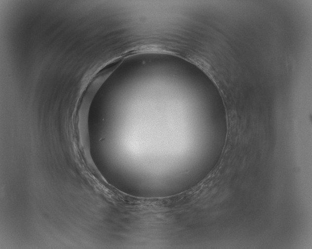 X0000073910289200608251530