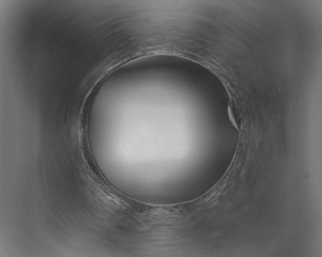 X0000073910290200608251530