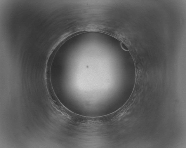 X0000073910292200608251530