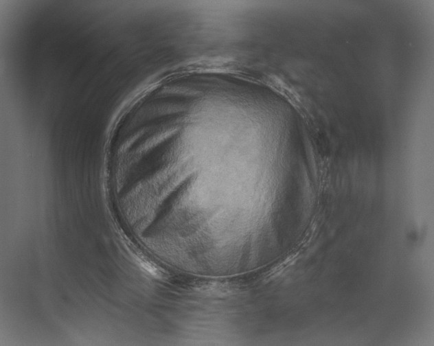 X0000073910293200608251530