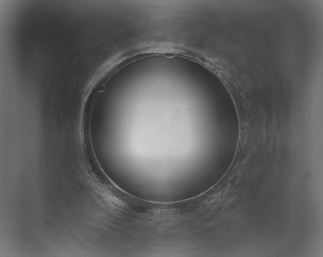 X0000073910296200608251530